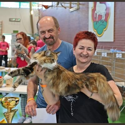 12-maja-2025.jpg